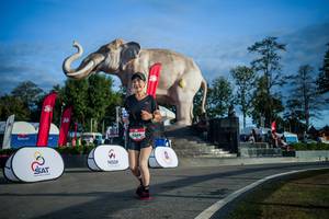 BIB: 
                            <button type="button" onclick="openModal(26541724)" class="btn btn-primary btn-sm float-right btn-popup" data-toggle="modal" data-target=".modal-high-quality">
                        <i class="fas fa-shopping-cart"></i> Add to Cart
                    </button>
                                            <button type="button" onclick="isThisMe(26541724, true)" class="btn btn-success btn-sm float-right btn-popup btn-isme hidden" data-toggle="tooltip" data-placement="bottom" title="นี่คือรูปของคุณใช่ไหม คลิกที่นี่เพื่อเอาเข้าอัลบั้ม">
                        <i class="fas fa-plus"></i> Add to album
                    </button>
                    <button type="button" onclick="isThisMe(26541724, false)" class="btn btn-warning btn-sm float-right btn-popup btn-isnotme hidden">
                        <i class="fas fa-ban"></i> Remove from album
                    </button>